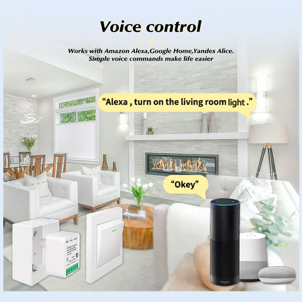 For Tuya Mini Smart WiFi Switc - đánh giá và giá Smart Home Google Assistant