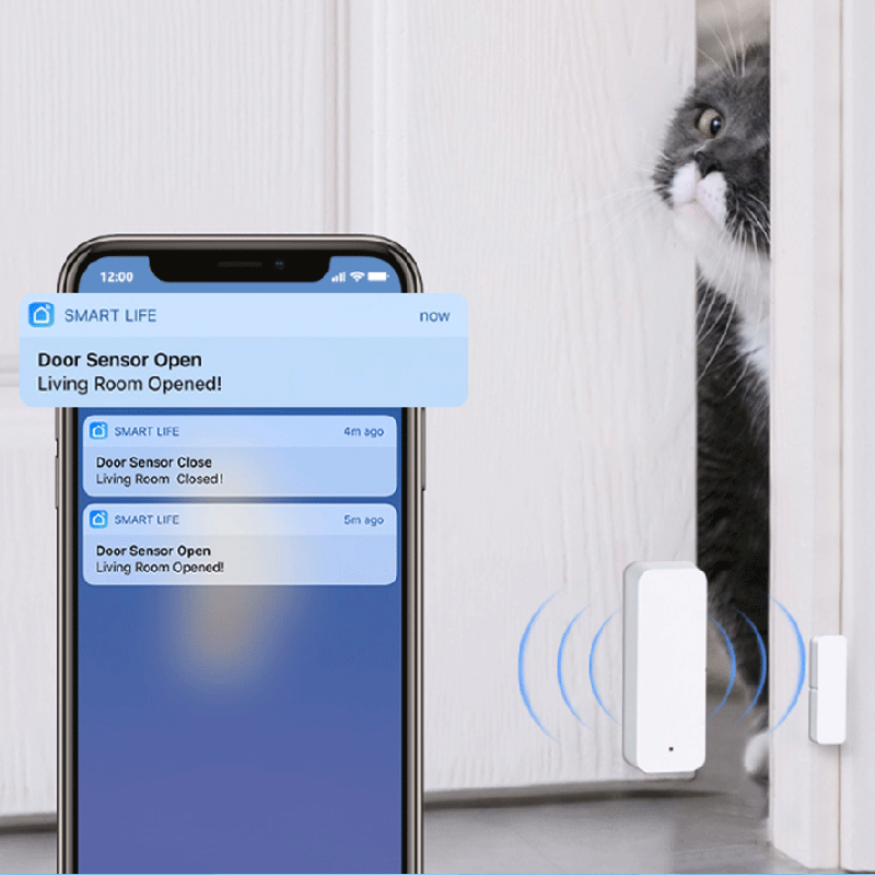 Tuya WiFi Zigbee Door Window S - đánh giá và giá Smart Home Web
