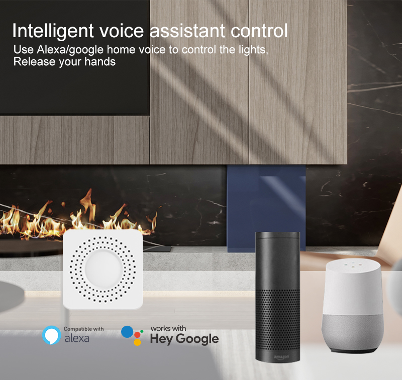 Tuya Mini Smart Switch WiFi 1- - đánh giá và giá Smart Home Google Assistant