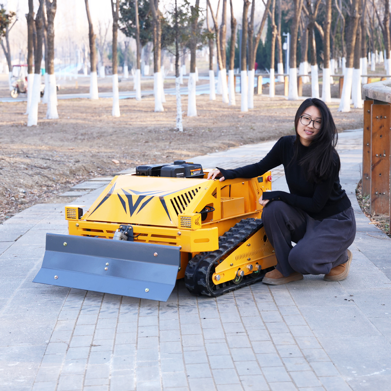 Customized Smart Durable Grass - đánh giá và giá Smart Home Energy