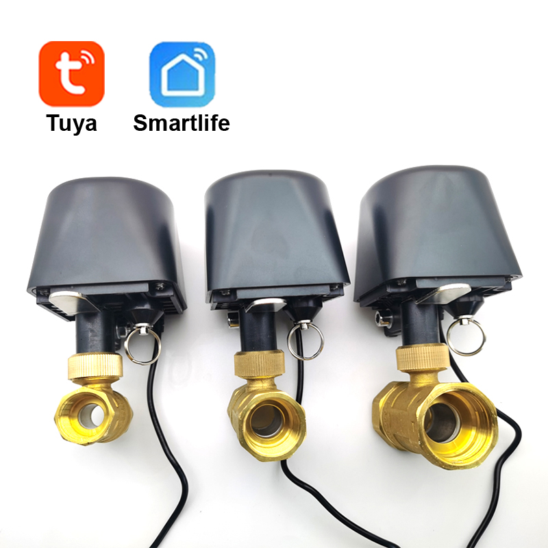 Tuya WiFi or Zigbee Water Valv - đánh giá và giá Smart Home Google Assistant